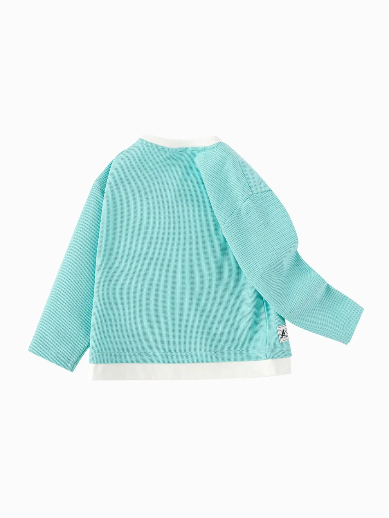 balabala_childrens_clothing_boys_long_sleeve_tshirt_lining__spring_new_style_top_1.webp Balabala Children's Clothing Boys' Long Sleeve T-Shirt Lining 2025 Spring New Style Top Blue Green Flash Sale