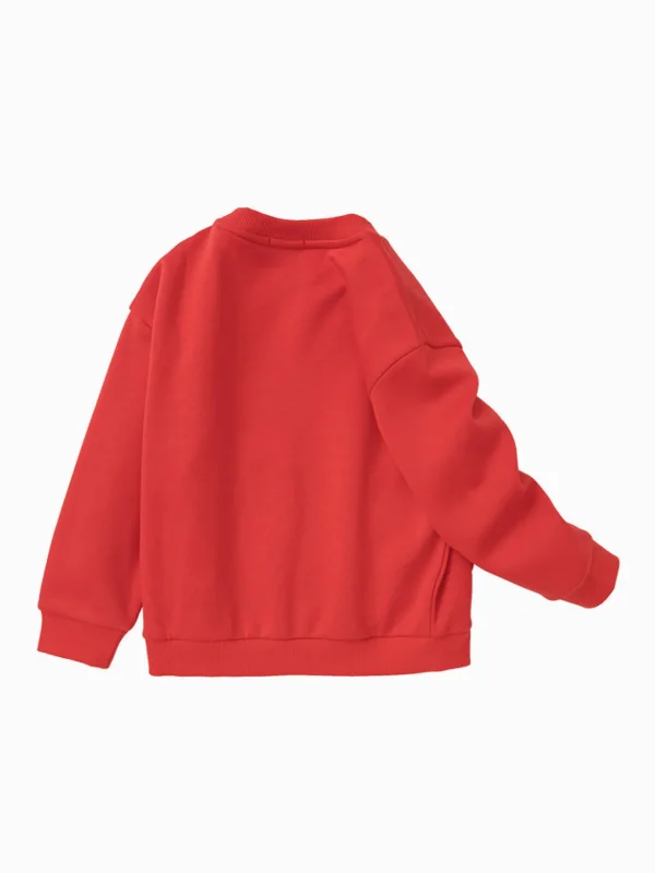Balabala Toddler Unisex Lion Crew Neck Sweatshirt 2-8 Years Clearance