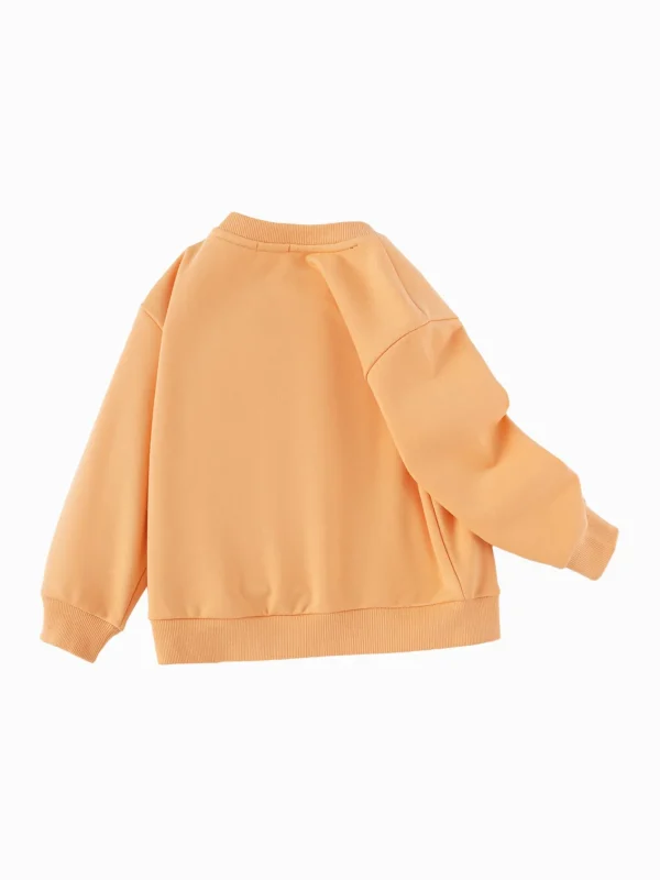 Balabala 【Designer SICO】Sweatshirt New Spring 2025 Toddler Boys Round Neck Sweatshirt Orange Cheap