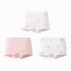 Balabala Girl Toddler And Kid Pink And Blue Butterfly Cartoon Pattern Briefs Sale