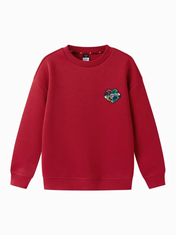 Balabala Harry Potter IP Hoodie 2025 Spring New Boy Round Neck Hoodie Fashion