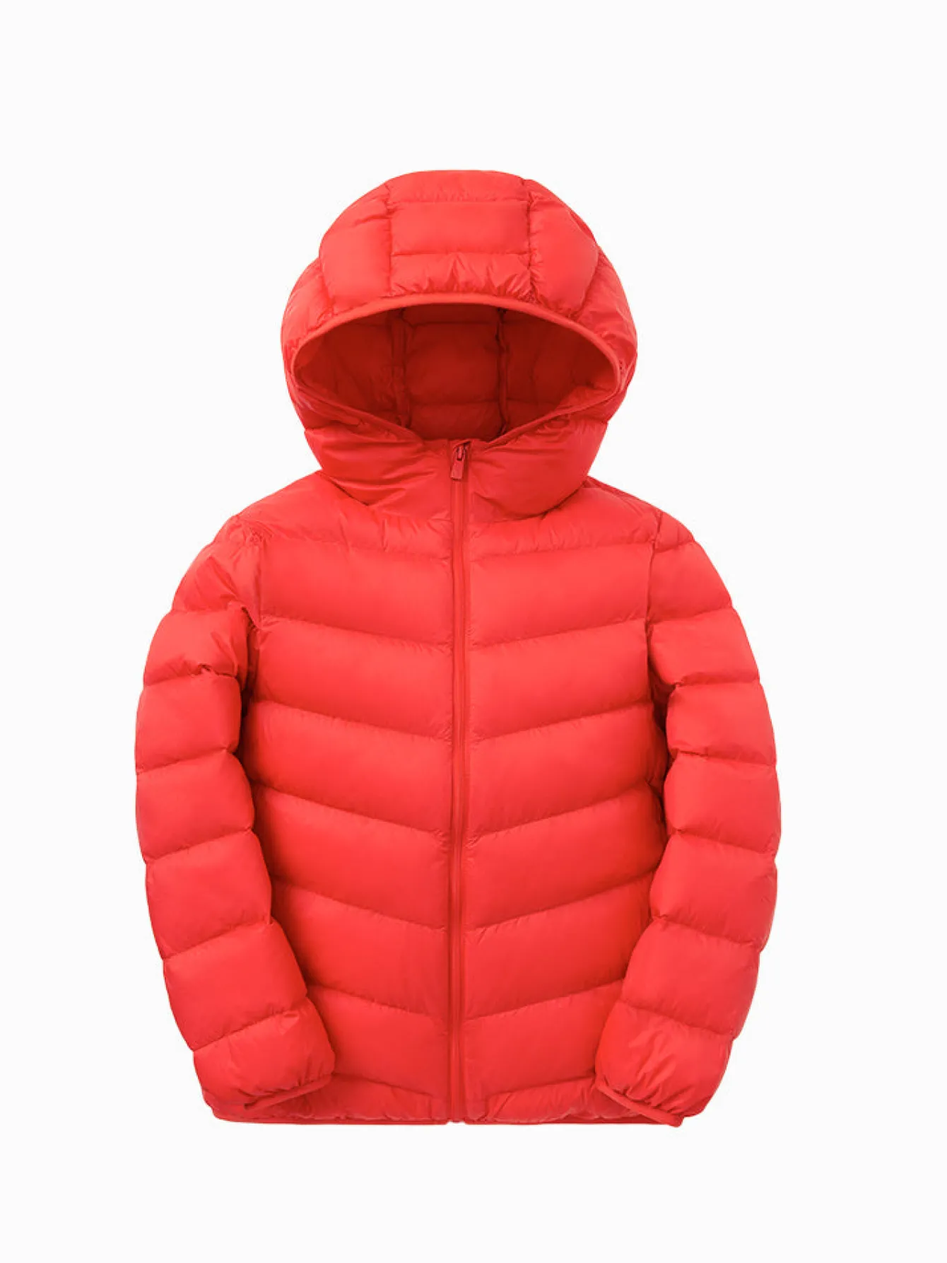Balabala Kids Multicolor Hooded Down Jacket 208422107203 Sale